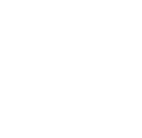 vote-icon