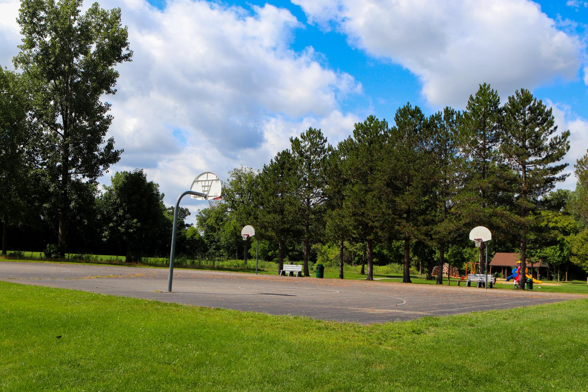 Whispering Woods